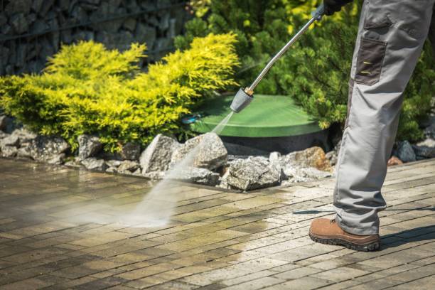 Best Solar Panel Cleaning  in Culver City, CA